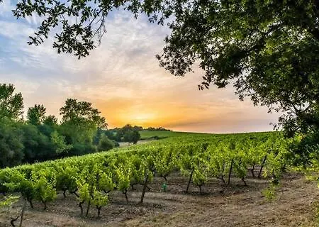 Le Chai Des Poilanes 3*